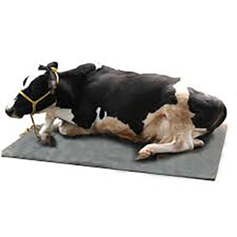 COW/HORSE STABLE RUBBER MAT ANTI-SLIP IMAT