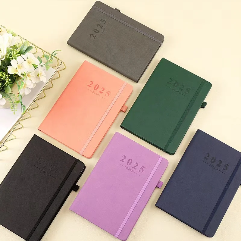 2025 Diary Planner 365 Days Daily Planner Journal A5 Large Project Agenda Organizer Work Notebook for Office Business Notes