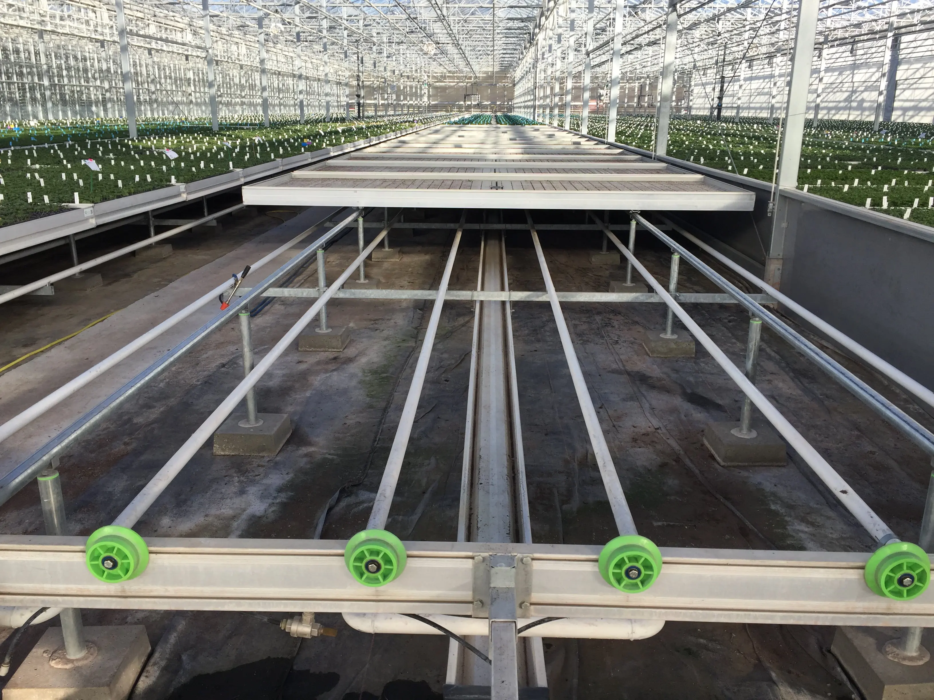 Modern logistics seedbed portable greenhouse rolling bench