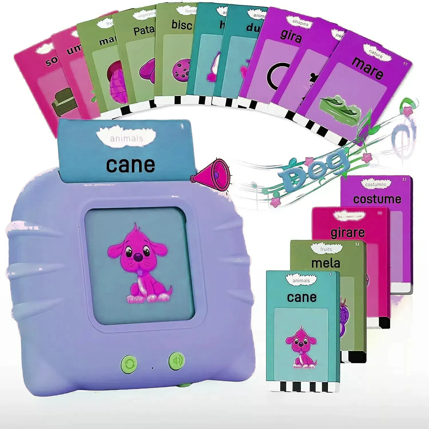 Custom English Danish Dutch Swedish Norwegian Italian Japanese Mexicani Spanish German French Chinese Russian Kazakh flashcard