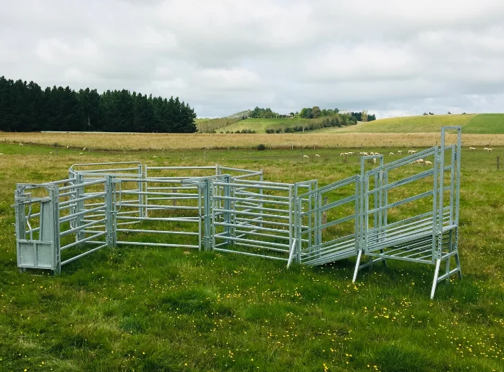 2x2 3x3 Galvanized Cattle Welded Wire Mesh Panel for Farm Gates And Fences
