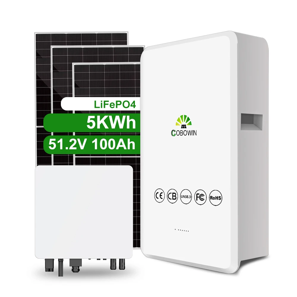 5KWh 10KWh 48v200ah 100ah Powerwall 24v system lithium ion battery wall mounted lithium battery with bms