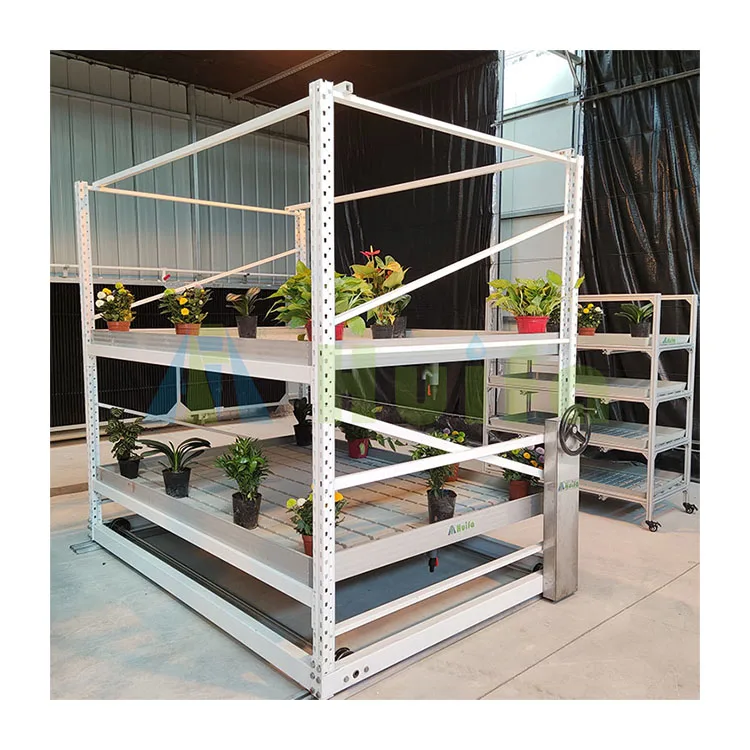 Hydroponic Flood Table For Tomato Multi Span Greenhouses Flood Tray