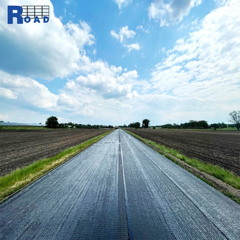 High Strength Polyester Customized Reinforcement Mining Geogrid/Road Surface Reinforcement, Ramp Reinforcement Geogrid