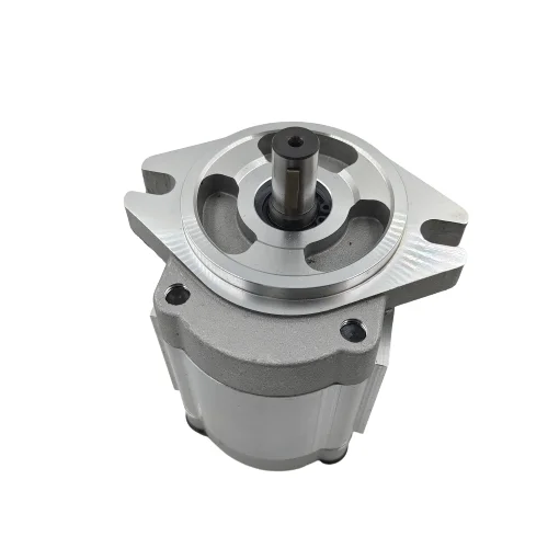 Export commercial simple agricultural hydraulic pump mini gear oil pump Booster oil pump