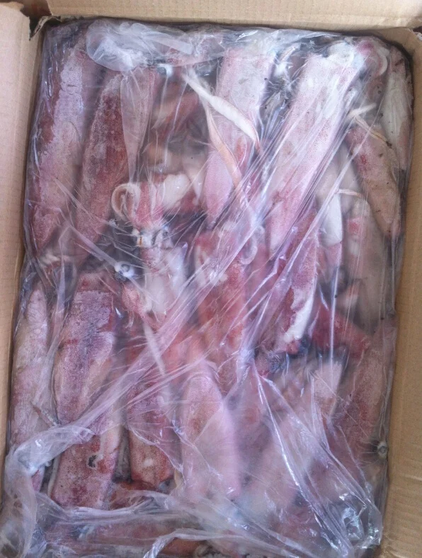 Wholesale Illex Whole Frozen Squid