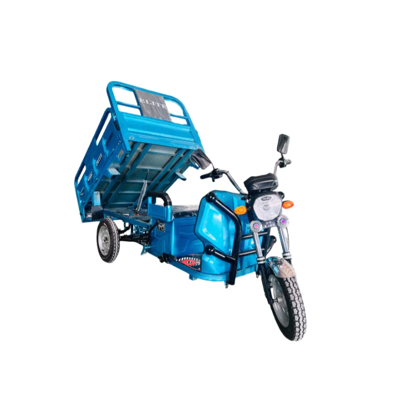 Hot Sale Chinese Cargo Tricycle Electric Tricycles 1000W 800W Car