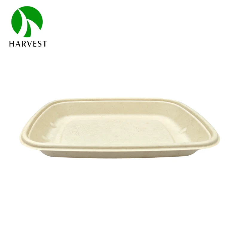 500ml  Disposable food packing microwavable sugarcane bamboo plates