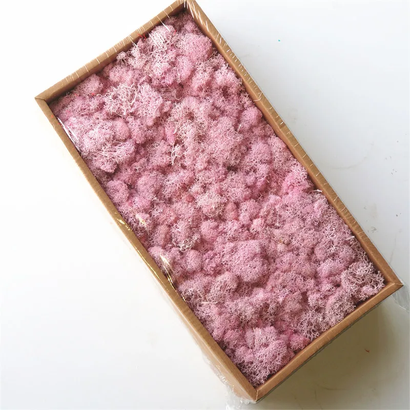 Amazon Hot selling wall home wedding decor Natural moss Preserved Reindeer Moss