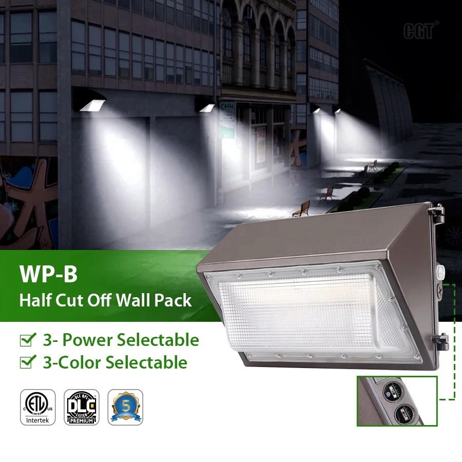 60W 80W 100W 120W ETL DLC Industrial Lighting Aluminum Housing Exterior Mounted Outdoor LED Wall Light