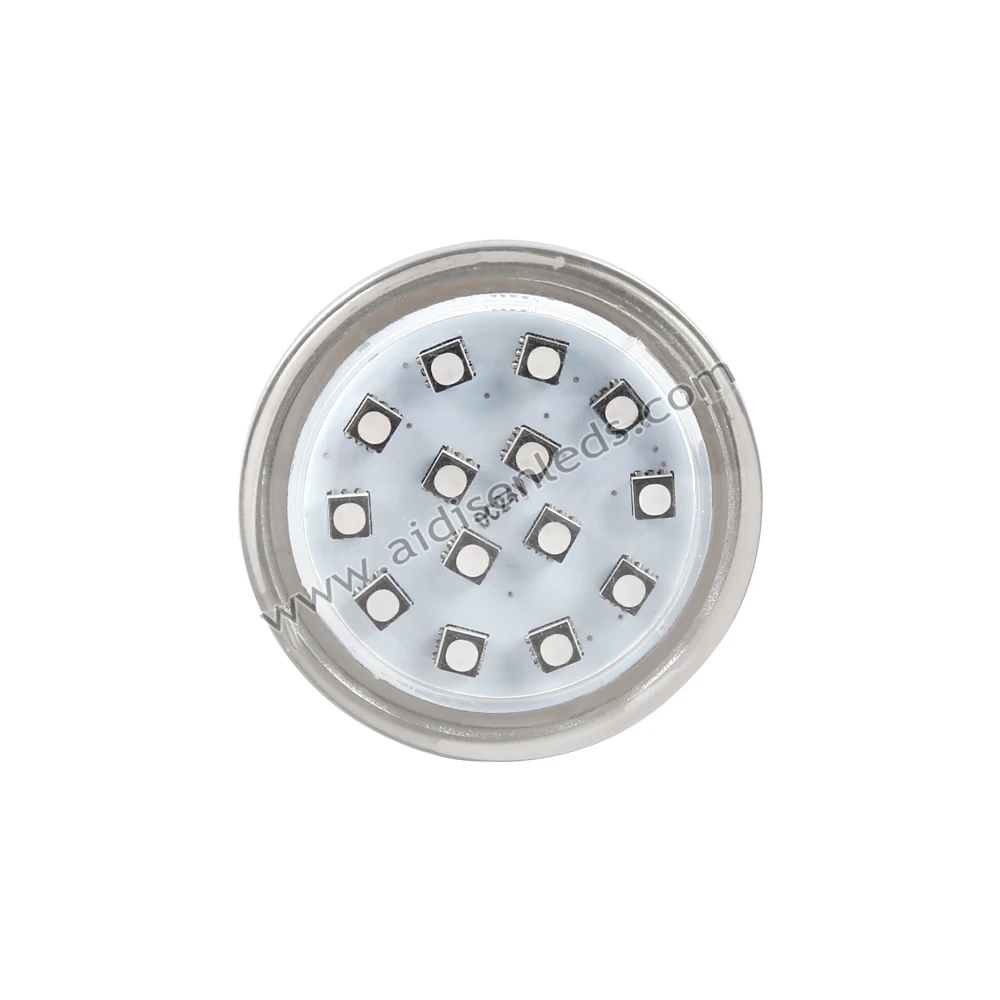 Aidisen Pregrammable Rgb Led Lights 24v 45mm Led Amusement Fairground Light