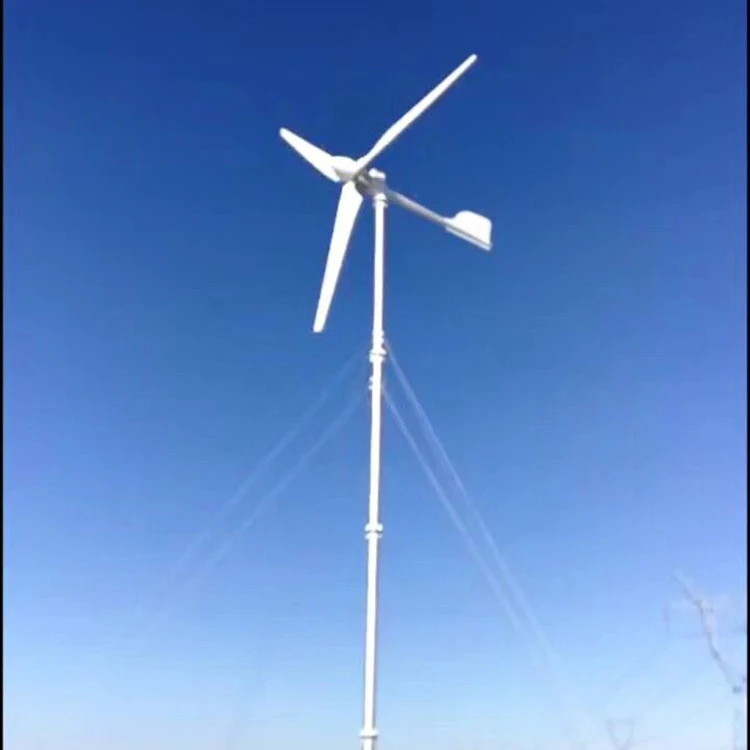 Tengyu Tech 2000W  12/24/48V Wind Turbine 2KW Wind Generator  2 kw wind power generator