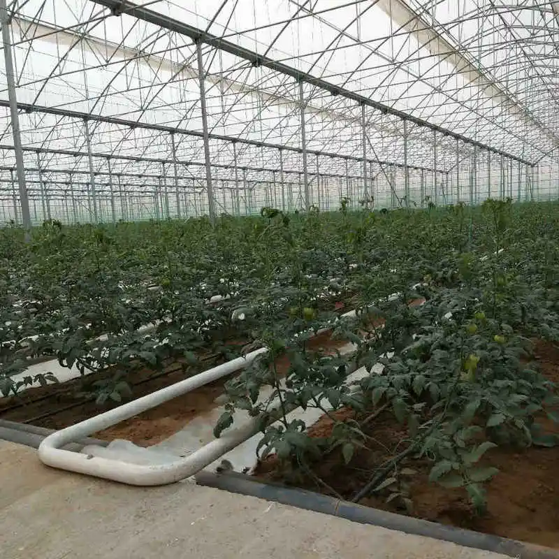2024 pc sheet greenhouse for agriculture growing mushroom made in China