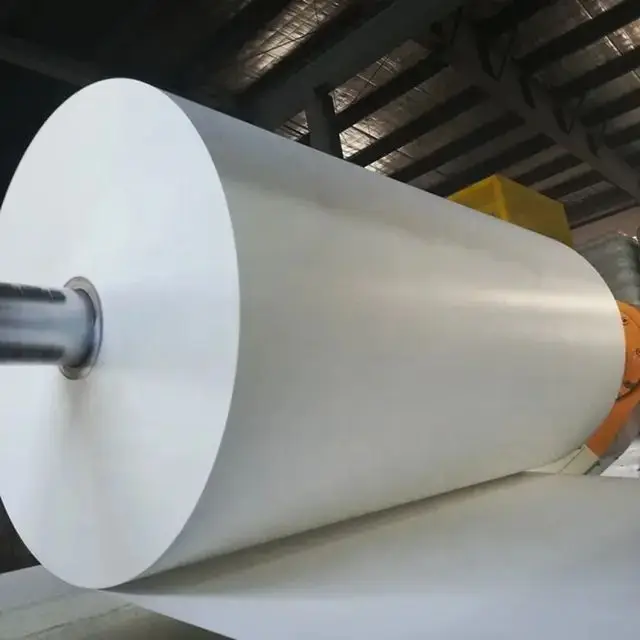 Chinese manufacturer Wholesale Price double Side PE Coated Cupstock Paper Virgin Pulp In Roll kraft paper in roll