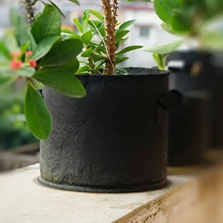 Skyplant производство гидропонных систем индивидуальные садовые сумки для выращивания растений на продажу