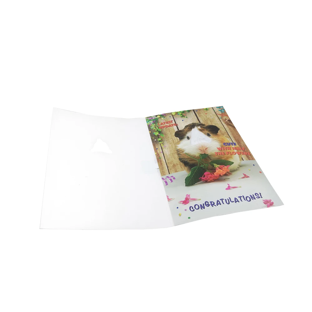 music greeting card insert sound chip with custom song