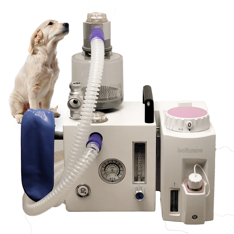 Medical Ultrasound Instruments Medispan Buy Anesthesia Breathing Systems