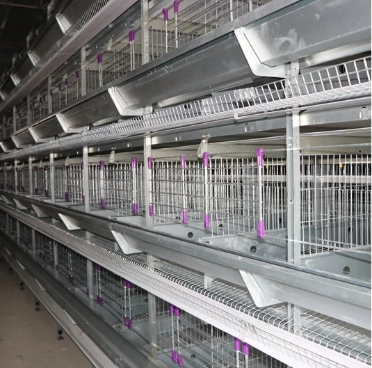 Low cost multi-layer automatic feeding stacked chicken cage with galvanized frame for poultry farming