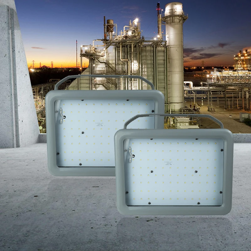 Hot Sale IP66 200W Explosive Proof  Emergency Explosion Proof Light Explosion Proof Lamp for Chemical Industry