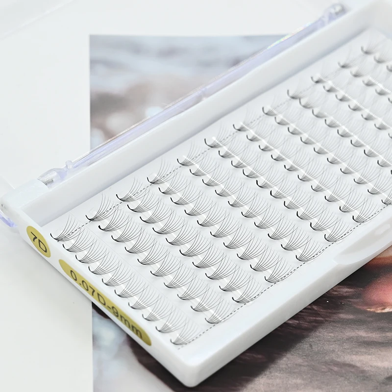 High Quality 3d 4d 5d 6d 7d 8d 9d 10d 0.07 D Curl Korean Pbt Wholesale OEM Eyelash Dark Black Premade Volume Lash Extensions