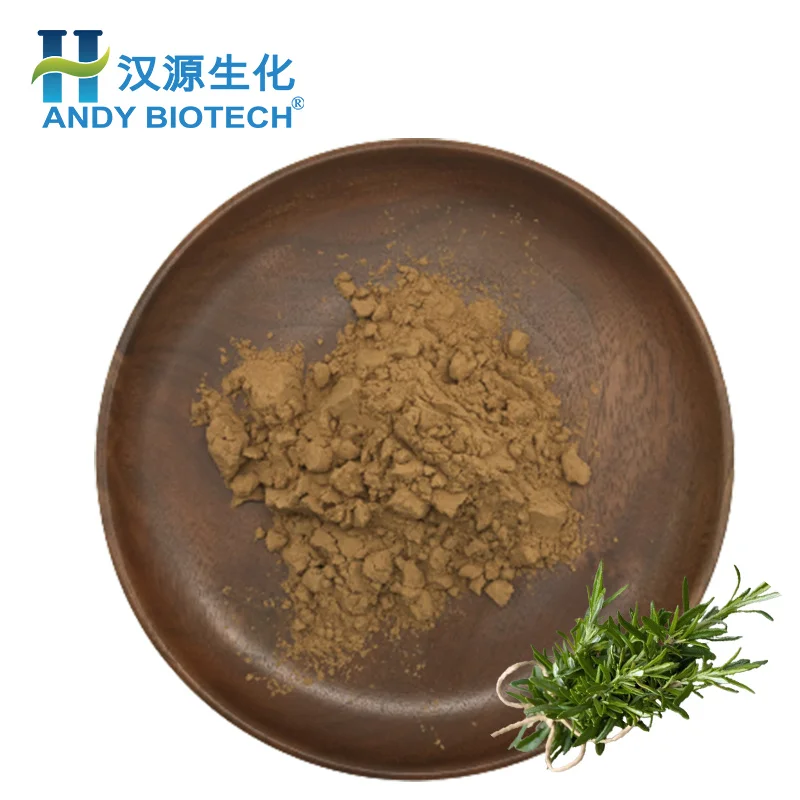 Manufacturer Supply Water soluble 5% Rosmarinic Acid Rosemary Extract Powder