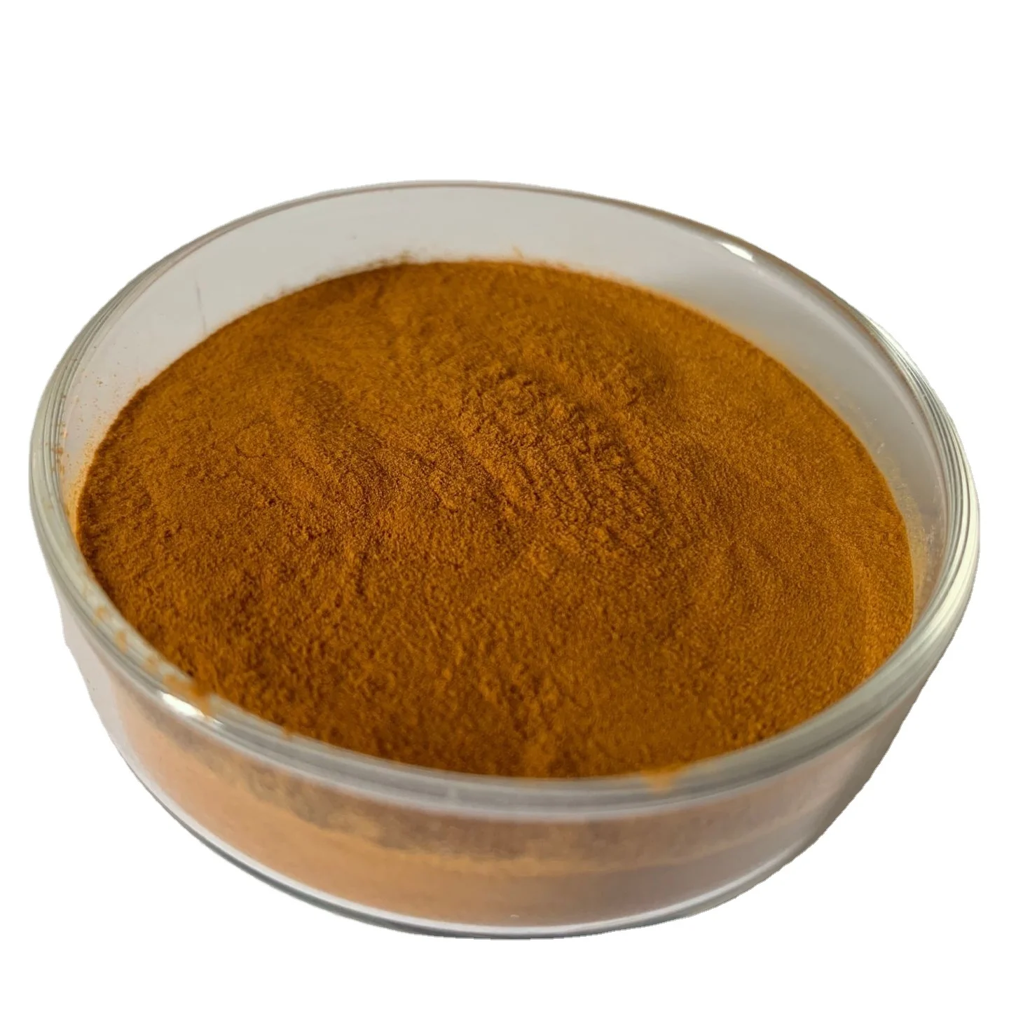 Aurora Mushroom Extract Powder Cordyceps Polysaccharides for Energy Boost