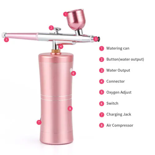 Mini Handheld Rechargeable Facial Oxygen Injection Meter Nail Hair Coloring Spray Gun