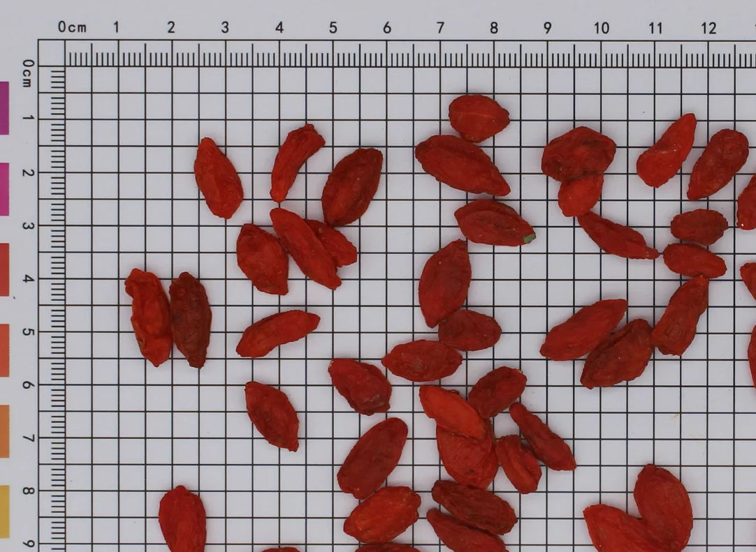 
Fruit of Chinese wolfberry 