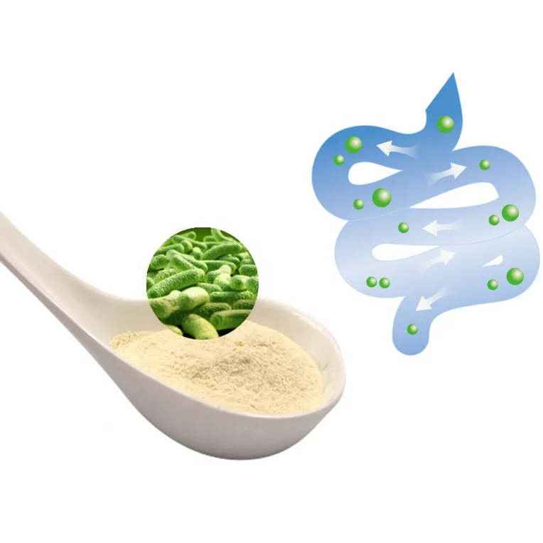 Best selling Probiotics Food Grade Lactobacillus Plantarum Powder