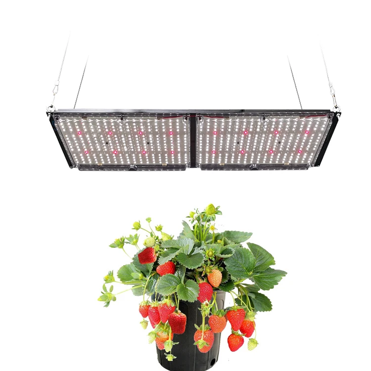75% OFF Samsung LM301H QB 240 Вт 650 полный спектр растет свет лампы 660nm комнатное растение Cultivo СИД для