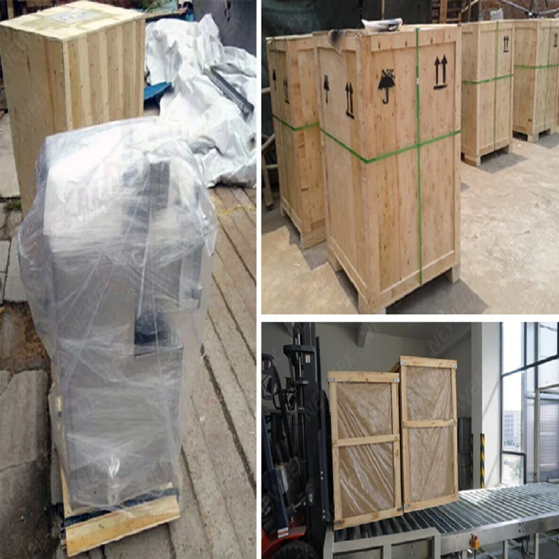 NEWEEK Electric stainless steel vegetable and fruit dicing machine