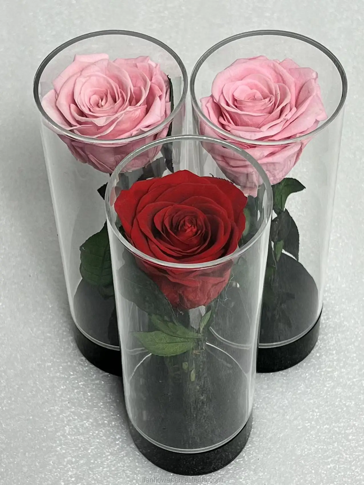 Green environmental flowers	Natural Flowers Preserved rose head +DIY handmade+Decoration flowers