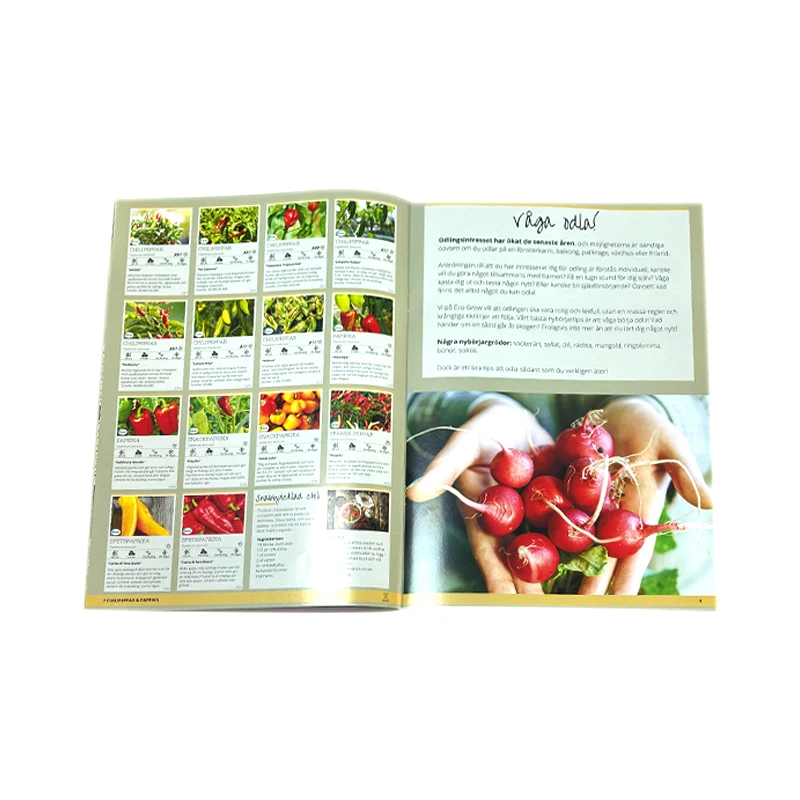 Printing Softcover Publishing Booklet Magazine Catalogue Photo Cook Paper A4 B5 A5 Recipe Book Journal Book