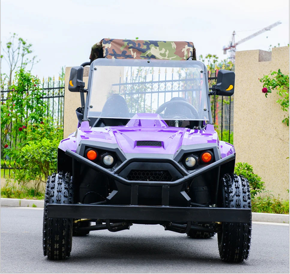 300cc UTV Go Kart /Automatic Buggy Farm Vehicle