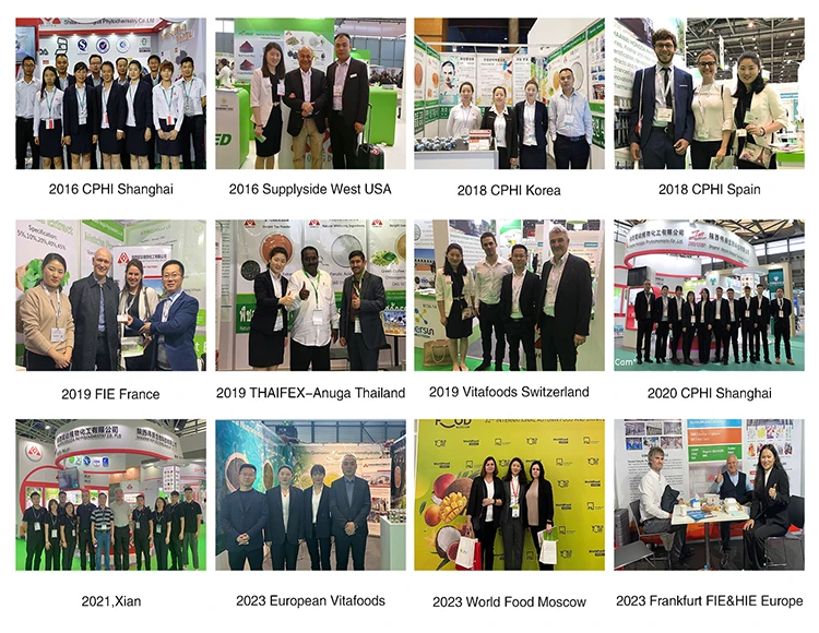 Good Quality Feed Grade Green Lipped Mussel Powder For Dogs Food Grade Green Lip Mussel Powder