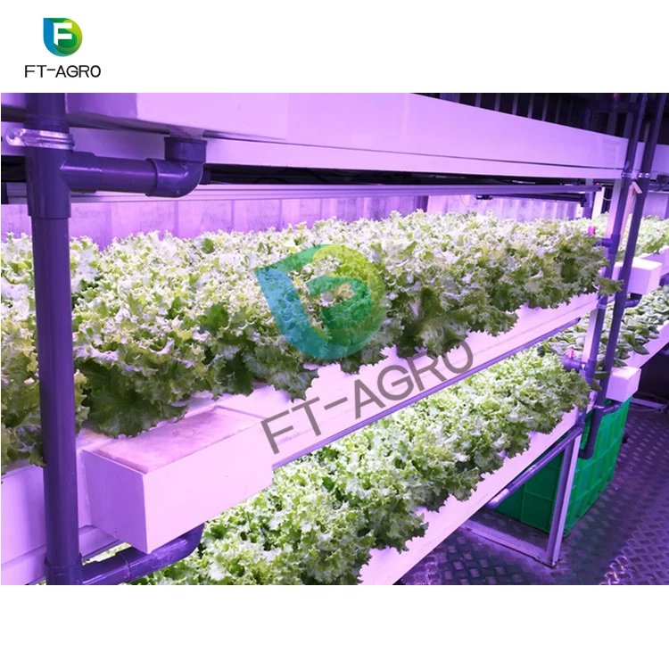 40ft Container hydroponic plant factory For smart farms