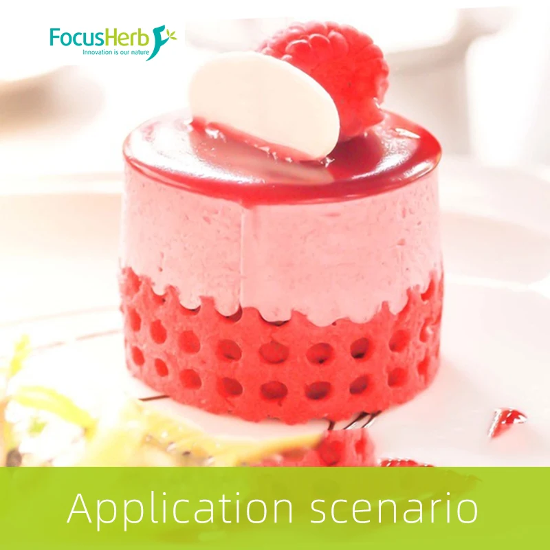 
FocusHerb Anthocyanidins 25% Elderberry Extract Powder 