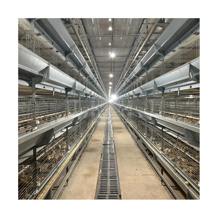 Фабричная цена, клетка для цыплят и бройлеров, для Пакистана, для птицефабрики