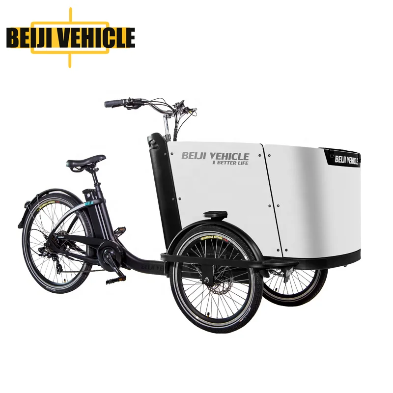 adult 3 wheel cargo bike bicycle cargo ebike tricycle with two front wheels