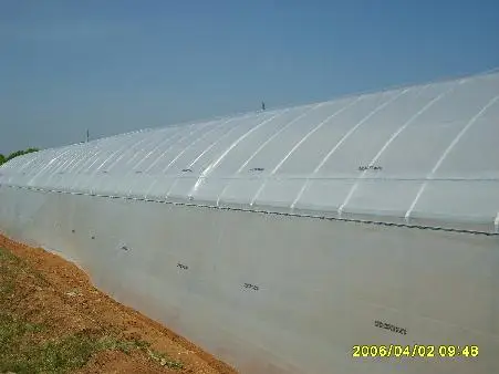 PE Plastic Film Greenhouse