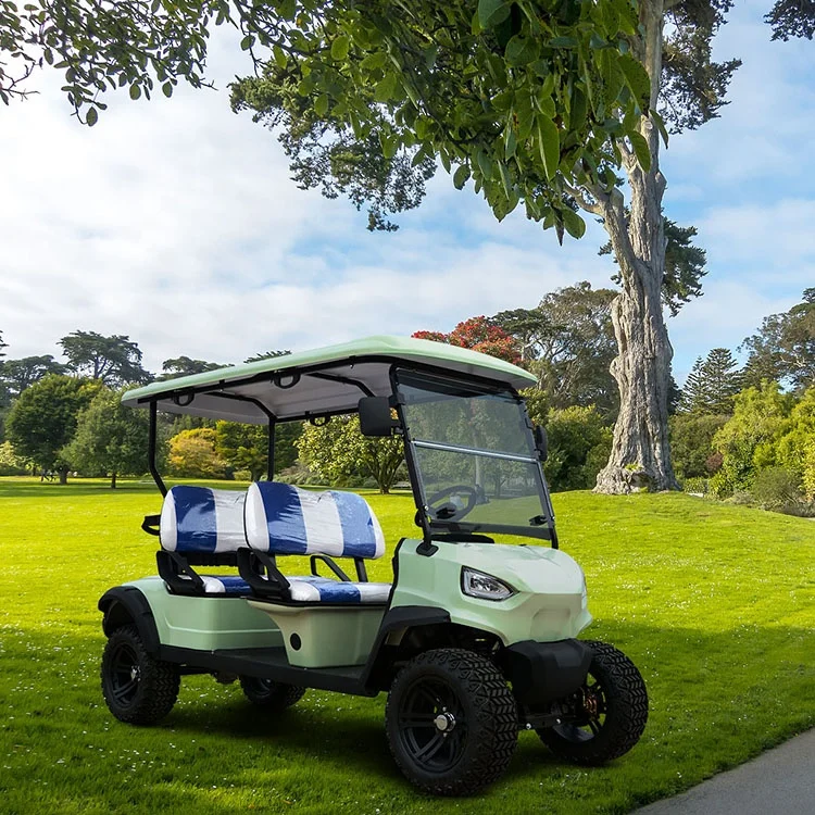 Chinese Cheap Mini Street Legal 2 4 Seater Electric Hunting Golf Buggy Cart For Sale