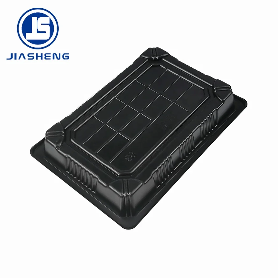 Take-away Plate PET Sushi Container With Lid Fits Sushi Party Fruits Chocolate Cookie Plastic Blister Packaging Container