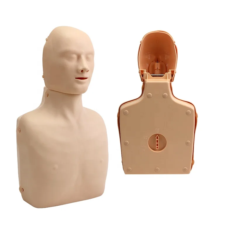Medical Science Medical Education Model  Half Body Manikin For CPR Training Manikin