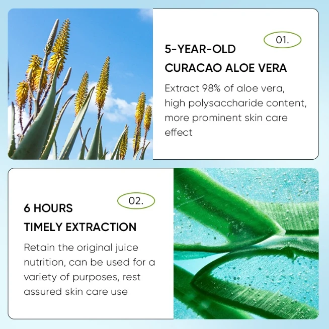 Organic Vegan Fruit Moisturizing Chapstick OEM custom  Fruit Aloe vera Natural Long Lasting Lip balm