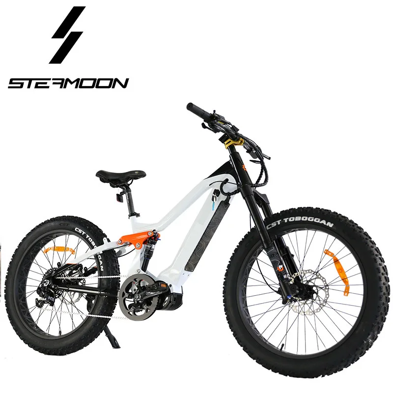 Other Electric Bike