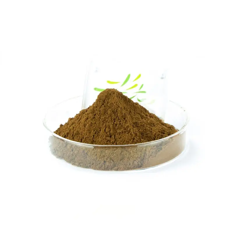 20% Чистый органический экстракт Ganoderma Lucidum в порошке травяная фруктовая часть полисахарид полисахариды упаковка для барабанов