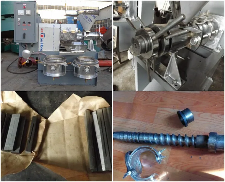 Hot Sale flaxseed cold oil press machine soybean sesame peanut cooking oil press machine