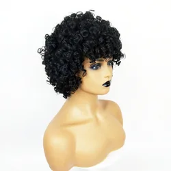 Wig Short Loose Curl Bob Style Brazilian Remy Women Wig Curly Hair