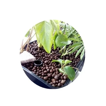 hydroponics grow rocks leca clay balls