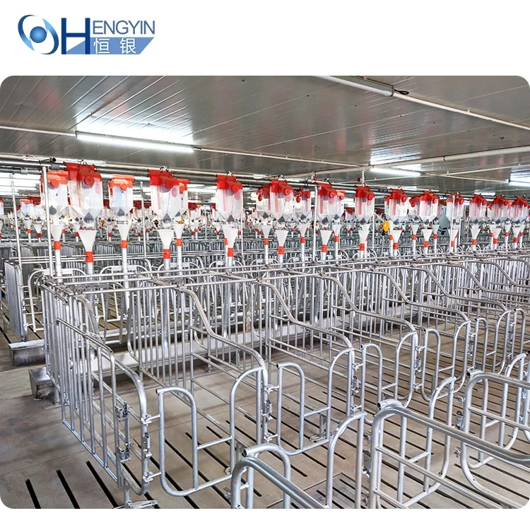 Factory Price Farrowing Crate Pig Gestation Crate Sow House sow gestation cage